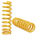 KSRS-29SP King Springs