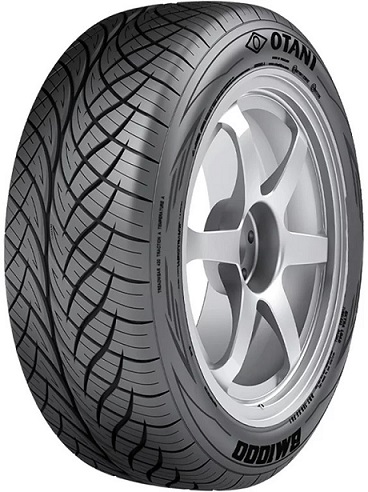 Otani 245/45 R18 BM1000 100V XL Tyre