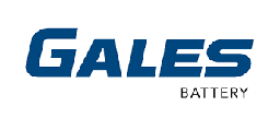 [BGANS70R] Battery Gales NS70R SMF 65AH