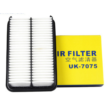 Filter Air TOAF24