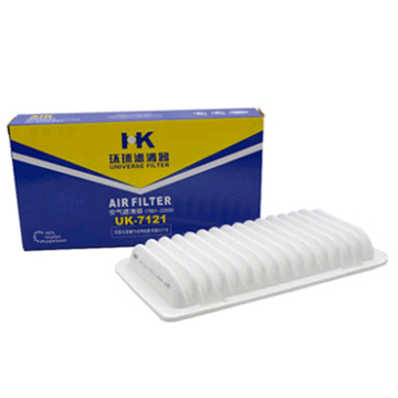 Filter Air TOAF02